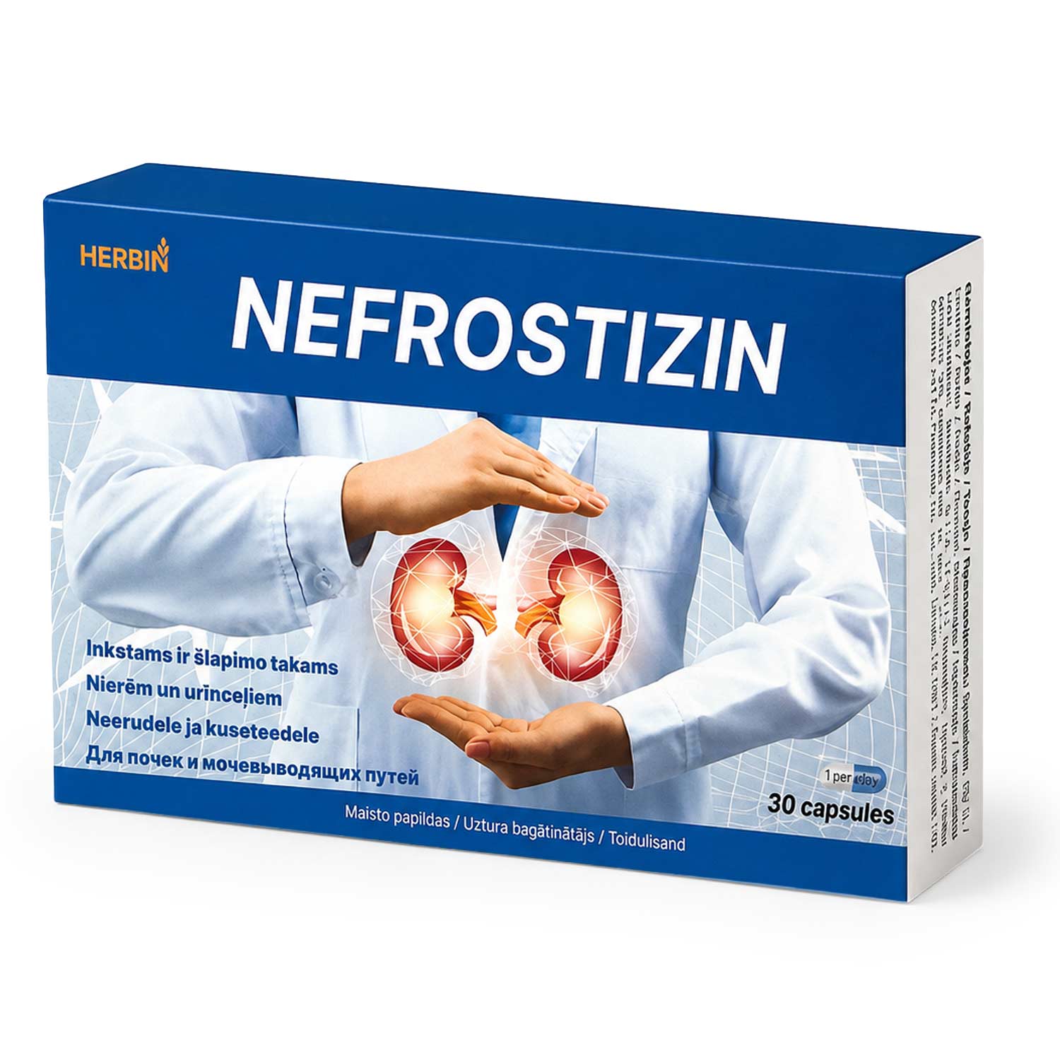 HERBIN Nefrostizin, Pflanzenextrakte aus Schachtelhalm, Schafgarbe und Segge, 30 Kapseln