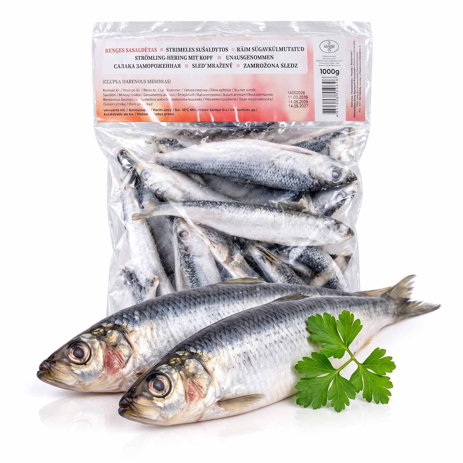 Fischbox für die Woche: Strömling-Hering & Whiteleg Garnelen für die Vorratsküche