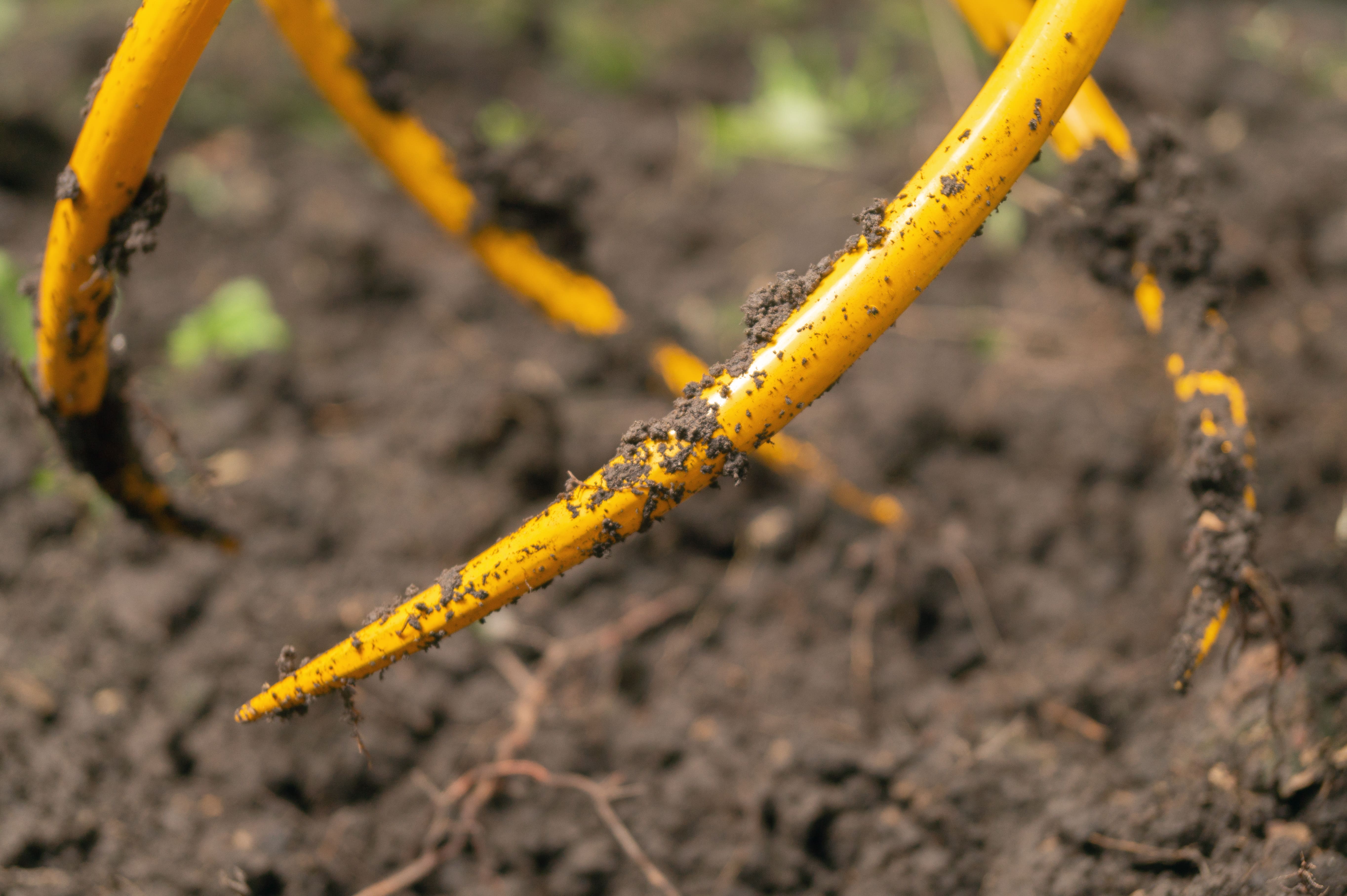 TORNADICA 2in1 Gartenkralle - Vertikutierer und Unkrautentferner in einem