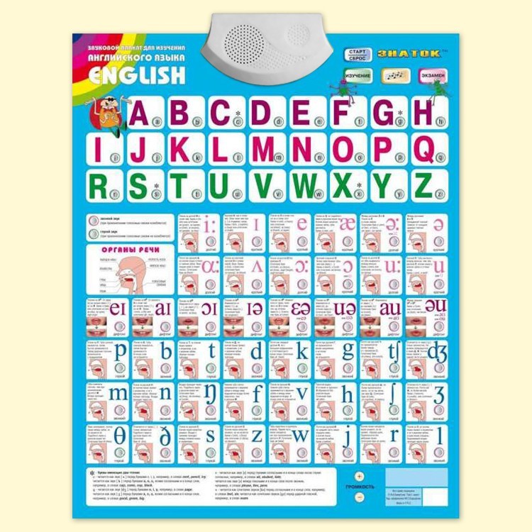 Audio-Plakat Englisch 47x59 cm